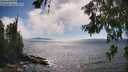 ./images/koeye/fitz-hugh/20260621/fitz-hugh20260621_162002M.jpg