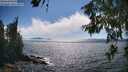 ./images/koeye/fitz-hugh/20260621/fitz-hugh20260621_163001M.jpg