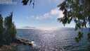 ./images/koeye/fitz-hugh/20260621/fitz-hugh20260621_164501M.jpg