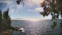 ./images/koeye/fitz-hugh/20260621/fitz-hugh20260621_165001M.jpg