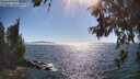 ./images/koeye/fitz-hugh/20260621/fitz-hugh20260621_170001M.jpg