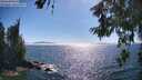 ./images/koeye/fitz-hugh/20260621/fitz-hugh20260621_170501M.jpg