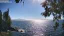 ./images/koeye/fitz-hugh/20260621/fitz-hugh20260621_171501M.jpg