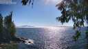./images/koeye/fitz-hugh/20260621/fitz-hugh20260621_172001M.jpg
