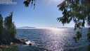 ./images/koeye/fitz-hugh/20260621/fitz-hugh20260621_172501M.jpg