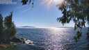 ./images/koeye/fitz-hugh/20260621/fitz-hugh20260621_173001M.jpg