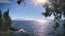 ./images/koeye/fitz-hugh/20260621/fitz-hugh20260621_173502M.jpg