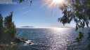 ./images/koeye/fitz-hugh/20260621/fitz-hugh20260621_174002M.jpg