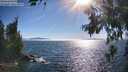 ./images/koeye/fitz-hugh/20260621/fitz-hugh20260621_174501M.jpg