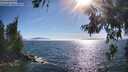 ./images/koeye/fitz-hugh/20260621/fitz-hugh20260621_175001M.jpg