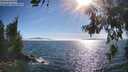 ./images/koeye/fitz-hugh/20260621/fitz-hugh20260621_175502M.jpg