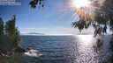 ./images/koeye/fitz-hugh/20260621/fitz-hugh20260621_183002M.jpg