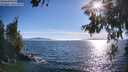 ./images/koeye/fitz-hugh/20260621/fitz-hugh20260621_184001M.jpg