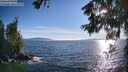 ./images/koeye/fitz-hugh/20260621/fitz-hugh20260621_191002M.jpg