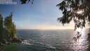 ./images/koeye/fitz-hugh/20260621/fitz-hugh20260621_194502M.jpg