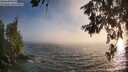 ./images/koeye/fitz-hugh/20260621/fitz-hugh20260621_201501M.jpg