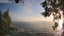 ./images/koeye/fitz-hugh/20260621/fitz-hugh20260621_202001M.jpg