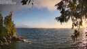 ./images/koeye/fitz-hugh/20260621/fitz-hugh20260621_205001M.jpg