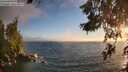 ./images/koeye/fitz-hugh/20260621/fitz-hugh20260621_205501M.jpg