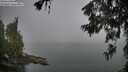 ./images/koeye/fitz-hugh/20260622/fitz-hugh20260622_053501M.jpg