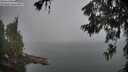 ./images/koeye/fitz-hugh/20260622/fitz-hugh20260622_054501M.jpg