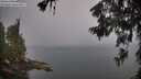 ./images/koeye/fitz-hugh/20260622/fitz-hugh20260622_060002M.jpg