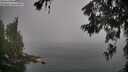 ./images/koeye/fitz-hugh/20260622/fitz-hugh20260622_071002M.jpg