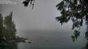 ./images/koeye/fitz-hugh/20260622/fitz-hugh20260622_074001M.jpg