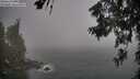 ./images/koeye/fitz-hugh/20260622/fitz-hugh20260622_083002M.jpg