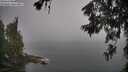 ./images/koeye/fitz-hugh/20260622/fitz-hugh20260622_090001M.jpg