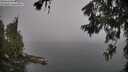 ./images/koeye/fitz-hugh/20260622/fitz-hugh20260622_090501M.jpg