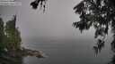 ./images/koeye/fitz-hugh/20260622/fitz-hugh20260622_091001M.jpg