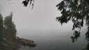 ./images/koeye/fitz-hugh/20260622/fitz-hugh20260622_113002M.jpg