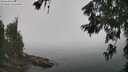 ./images/koeye/fitz-hugh/20260622/fitz-hugh20260622_113501M.jpg