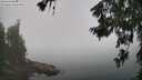./images/koeye/fitz-hugh/20260622/fitz-hugh20260622_114001M.jpg