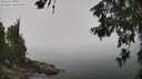 ./images/koeye/fitz-hugh/20260622/fitz-hugh20260622_122002M.jpg