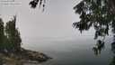 ./images/koeye/fitz-hugh/20260622/fitz-hugh20260622_123502M.jpg