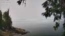 ./images/koeye/fitz-hugh/20260622/fitz-hugh20260622_124002M.jpg