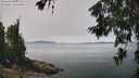 ./images/koeye/fitz-hugh/20260622/fitz-hugh20260622_125001M.jpg