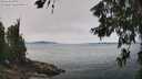 ./images/koeye/fitz-hugh/20260622/fitz-hugh20260622_125501M.jpg