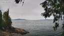 ./images/koeye/fitz-hugh/20260622/fitz-hugh20260622_130001M.jpg