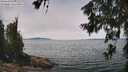 ./images/koeye/fitz-hugh/20260622/fitz-hugh20260622_130501M.jpg