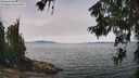 ./images/koeye/fitz-hugh/20260622/fitz-hugh20260622_131002M.jpg