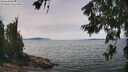 ./images/koeye/fitz-hugh/20260622/fitz-hugh20260622_132002M.jpg