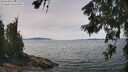 ./images/koeye/fitz-hugh/20260622/fitz-hugh20260622_132501M.jpg
