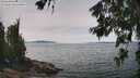 ./images/koeye/fitz-hugh/20260622/fitz-hugh20260622_133002M.jpg