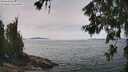 ./images/koeye/fitz-hugh/20260622/fitz-hugh20260622_133501M.jpg