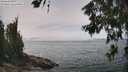 ./images/koeye/fitz-hugh/20260622/fitz-hugh20260622_134001M.jpg