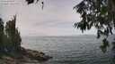./images/koeye/fitz-hugh/20260622/fitz-hugh20260622_134502M.jpg