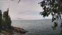 ./images/koeye/fitz-hugh/20260622/fitz-hugh20260622_135002M.jpg
